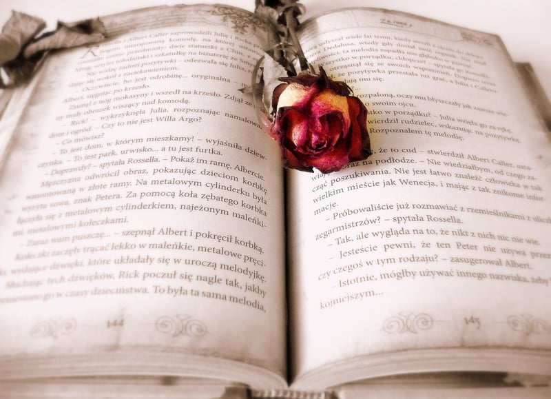 Time Travel Literature
